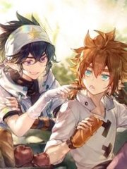 今日看料网页版